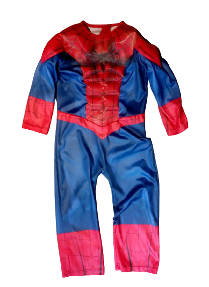 spider189-removebg-preview