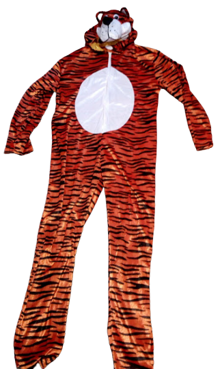 tygrys_d-removebg-preview