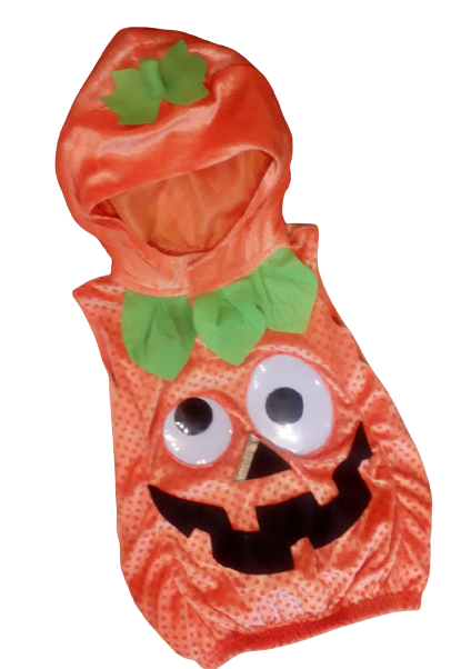 dynia_m-removebg-preview(1)